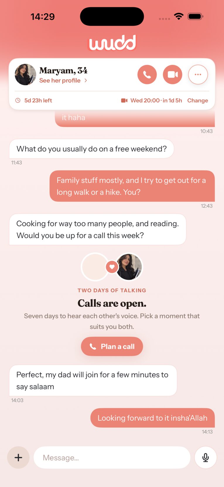 App screenshot: the video call is agreed for Monday at 20:00, shown in the chat header